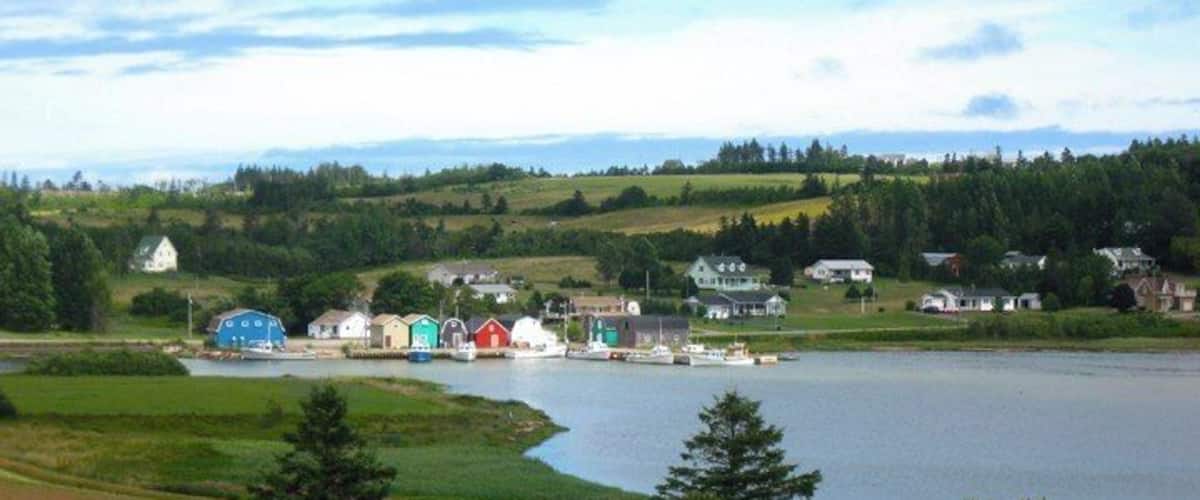A lakeside village with houses and boats.