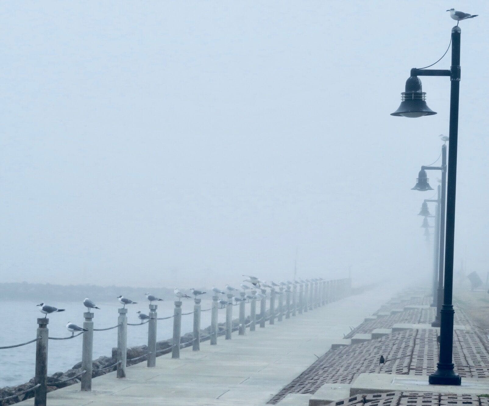Sylvan Beach Park is a 31.4 acre park, with a skate park, boat ramp and a quarter of a mile pay-to-fish pier. You will also enjoy the two pristine white sand beaches and swim in Galveston Bay. This historic park was once known as the Grove, has been a driving force for the city’s economy since 1893.