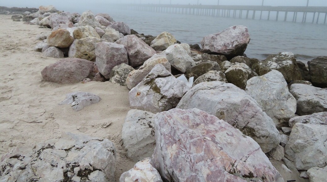 Sylvan Beach Park is a 31.4 acre park, with a skate park, boat ramp and a quarter of a mile pay-to-fish pier. You will also enjoy the two pristine white sand beaches and swim in Galveston Bay. This historic park was once known as the Grove, has been a driving force for the city’s economy since 1893.