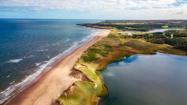 Un paisaje costero con playa arenosa, un lago tranquilo y una zona boscosa.