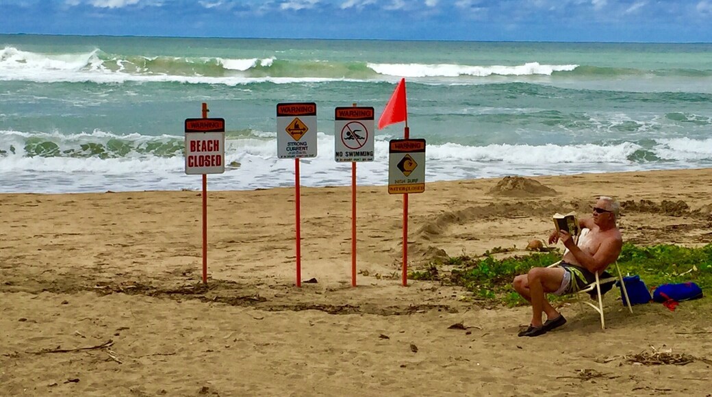 Hanalei beach. No swimming posted. Currents too intense.