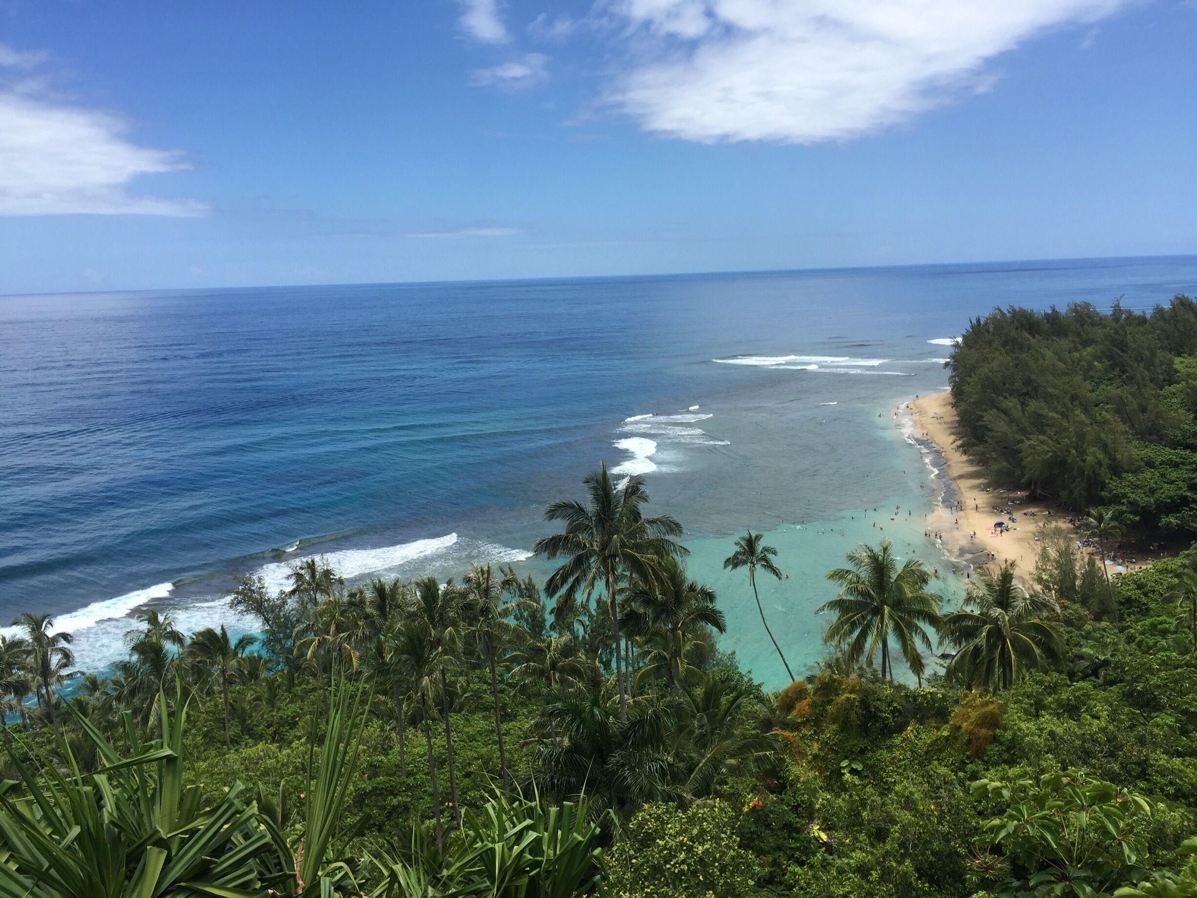 #hiking this trail is very fun for a quick day hike to the beach (2 miles in) and falls (another 2 miles from beach).  Take plenty of water pack a lunch and prepare for a difficult hike if not in good shape. The humidity + heat is tough.