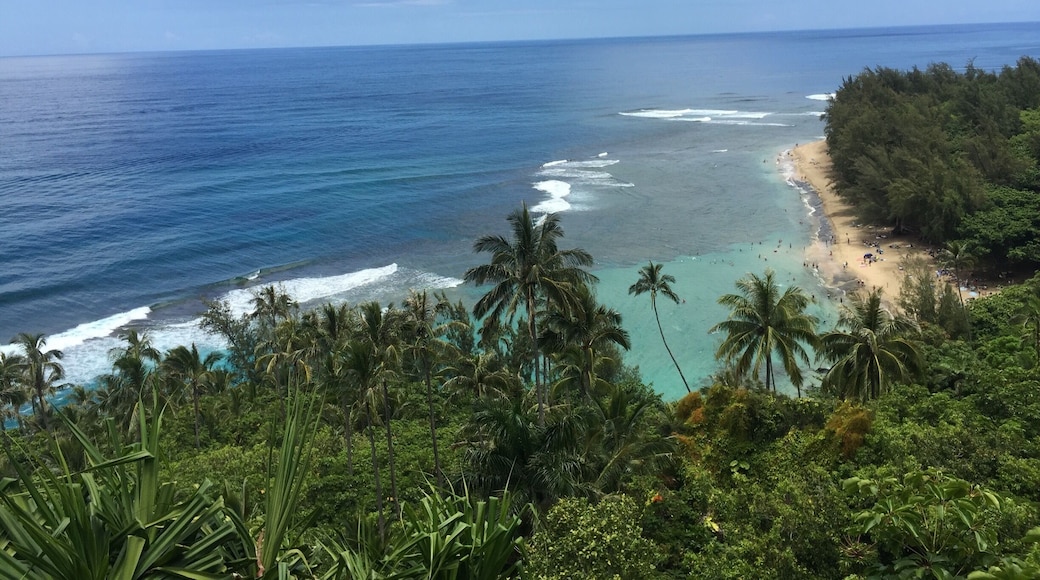 #hiking this trail is very fun for a quick day hike to the beach (2 miles in) and falls (another 2 miles from beach). Take plenty of water pack a lunch and prepare for a difficult hike if not in good shape. The humidity + heat is tough.