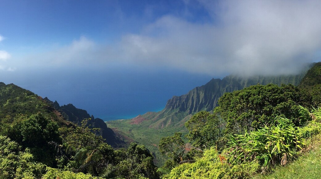 A pano view from the lookout point.