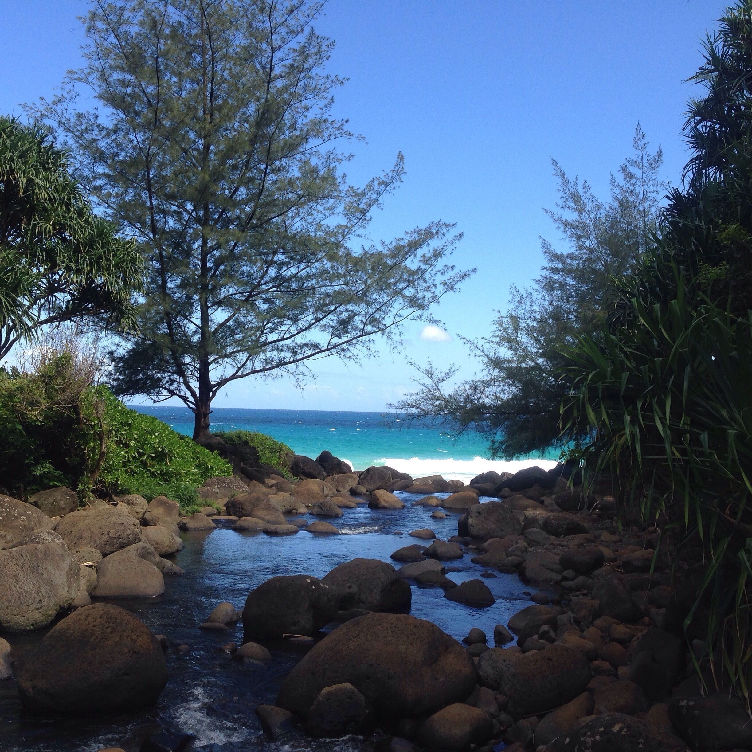 The famed Na Pali Coast hike is 11 miles and requires an overnight camping permit or you can get boated off island. 

If you're not up for the whole trek though I highly recommend just taking on the first 2 miles (4 mi round trip). It feels like an uphill battle there and back, but the views are worth it. Arrive before 8am as parking gets scarce.