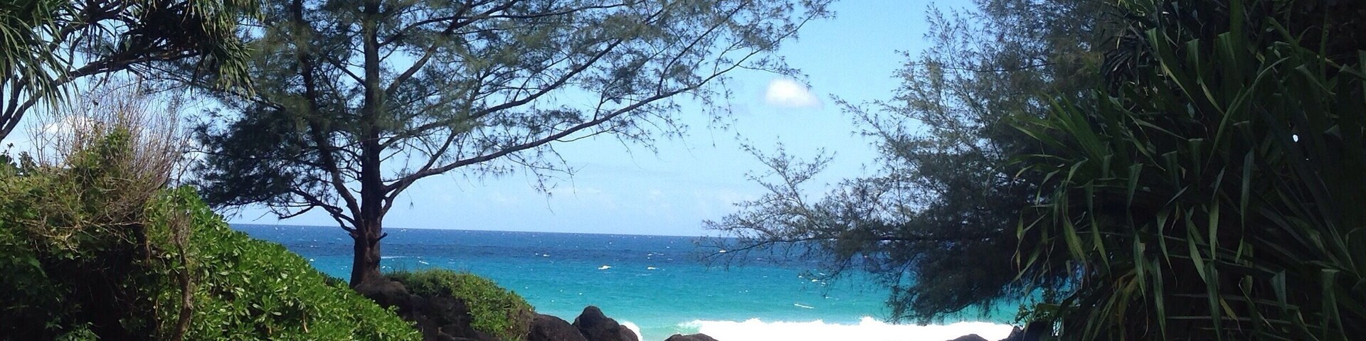 The famed Na Pali Coast hike is 11 miles and requires an overnight camping permit or you can get boated off island.
If you're not up for the whole trek though I highly recommend just taking on the first 2 miles (4 mi round trip). It feels like an uphill battle there and back, but the views are worth it. Arrive before 8am as parking gets scarce.