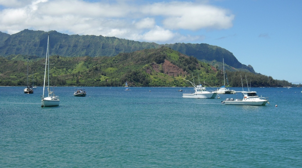 Land of Puff the Magic Dragon!