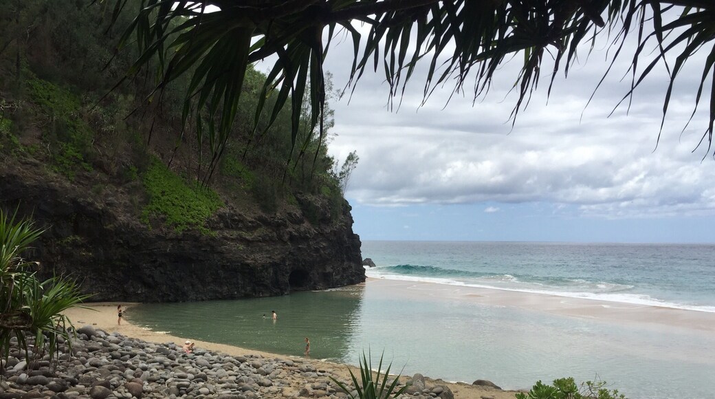 #hiking this trail is very fun for a quick day hike to the beach (2 miles in) and falls (another 2 miles from beach). Take plenty of water pack a lunch and prepare for a difficult hike if not in good shape. The humidity + heat is tough. This is the beach to rest and recharge.