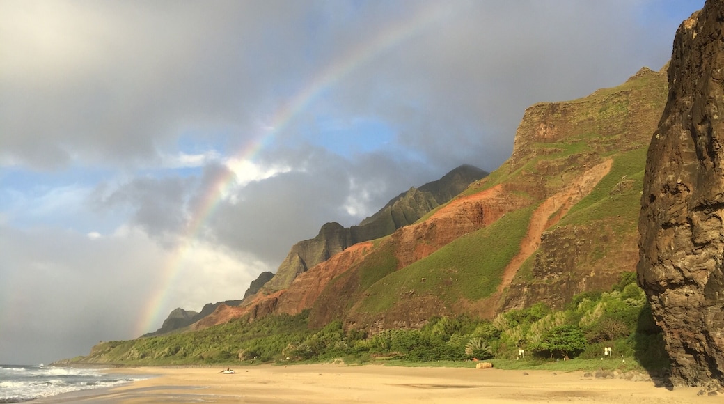 Hiked the Kalalau Trail in Kauai, Hawaii. Saw beautiful waterfalls, so many rainbows and then ended at a gorgeous beach.