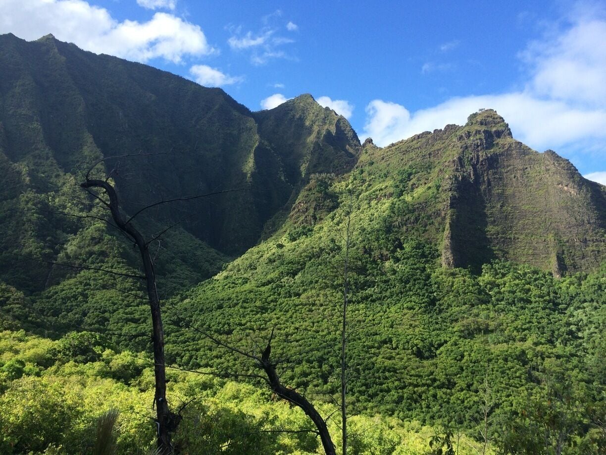 A mountainous landscape with dense green vegetation and a prominent peak.
