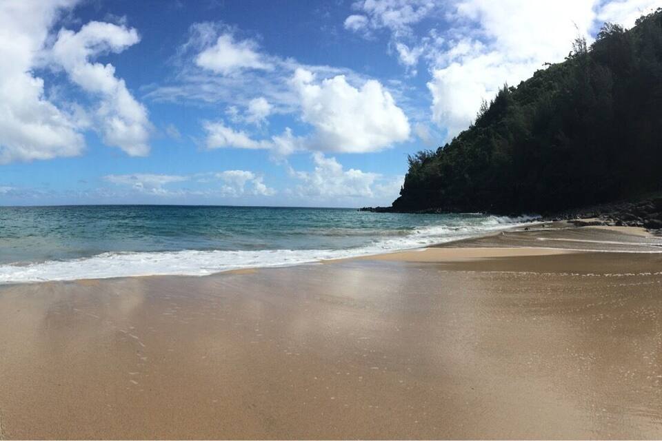 A beach with clear blue water, sandy shore, and lush green cliffs.