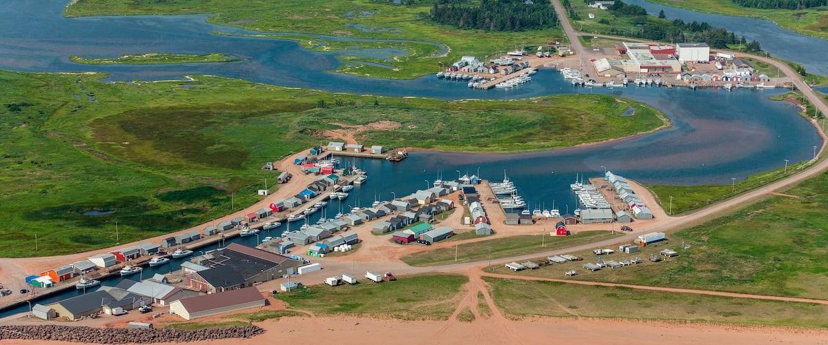 An aerial view of a coastal marina with boats, buildings, and surrounding greenery.