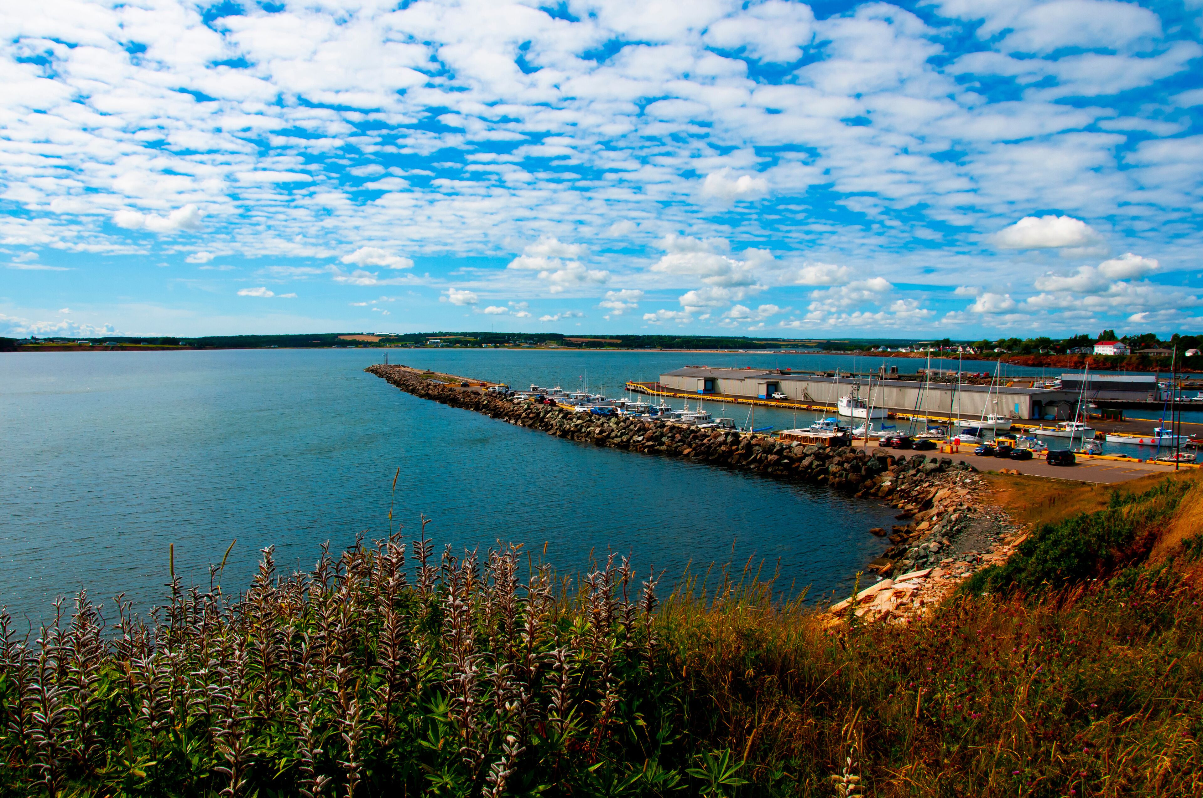 Souris Harbor - PEI - Canada