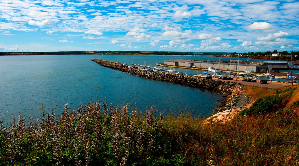 Souris Harbor - PEI - Canada