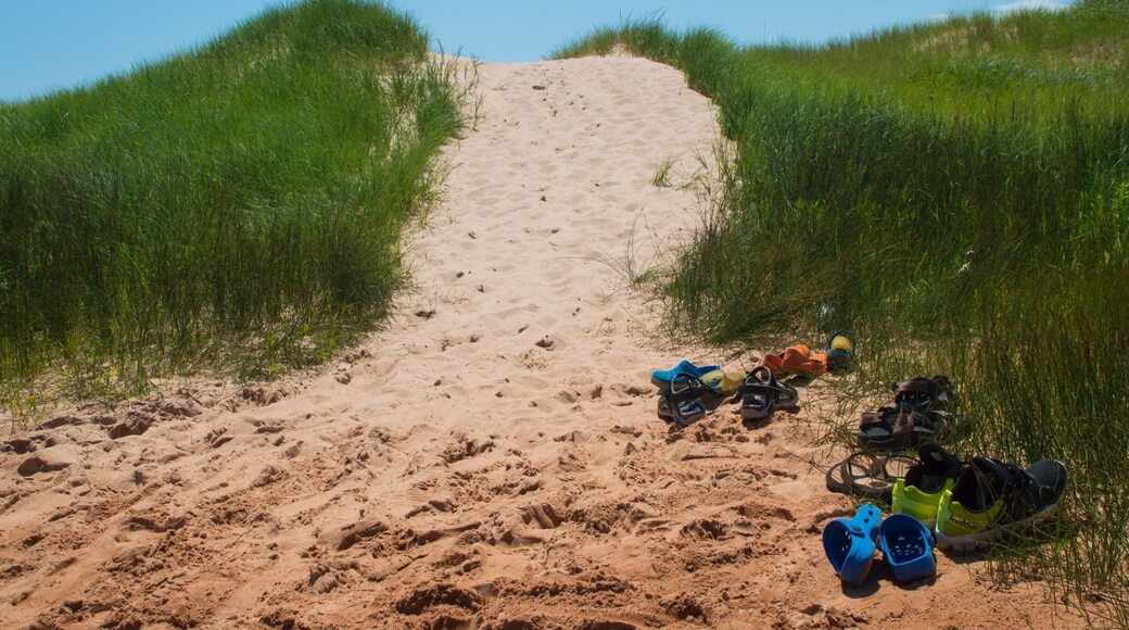#BeachBound Over the dunes to one of the loveliest beaches in PEI.