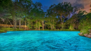 Piscina azul límpida rodeada por árvores e um deque de madeira.