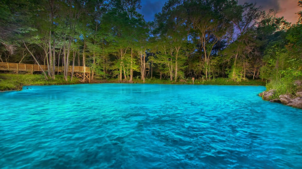 A clear blue pool surrounded by trees and a wooden deck.