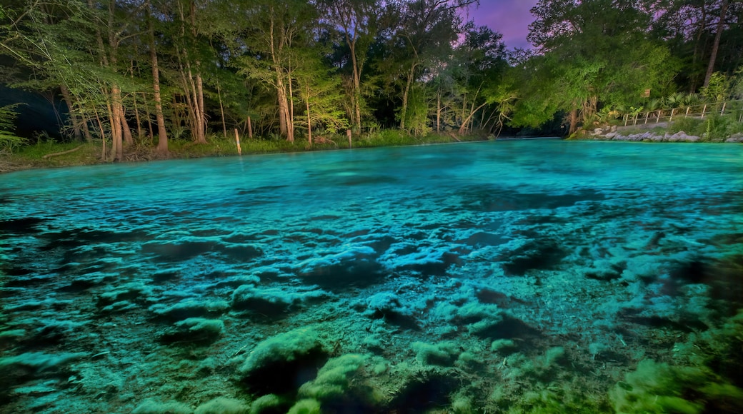 Poe Springs, Alachua County, Florida