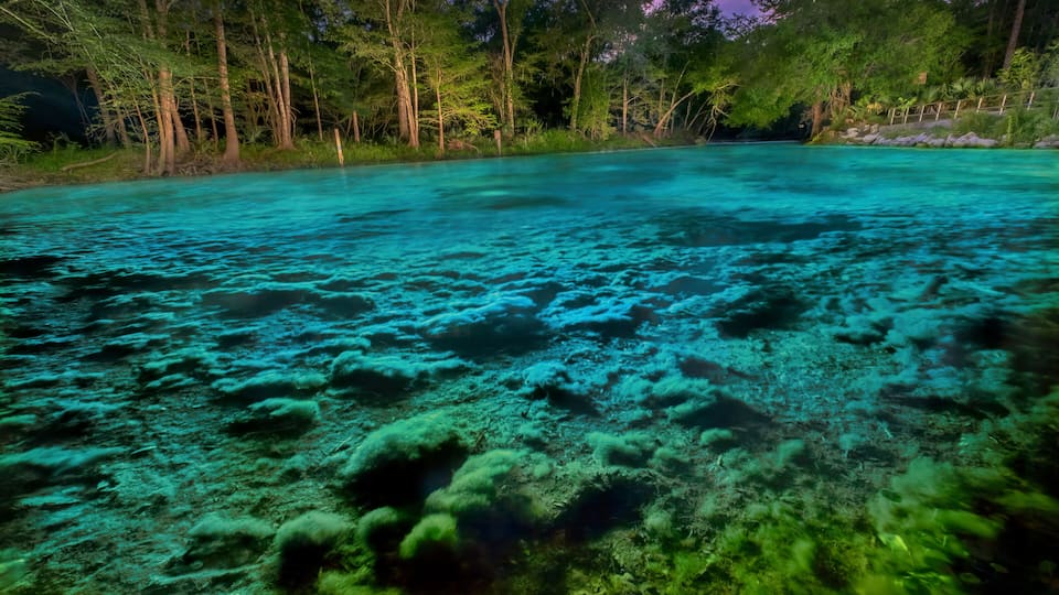 A clear turquoise water body surrounded by dense forest.