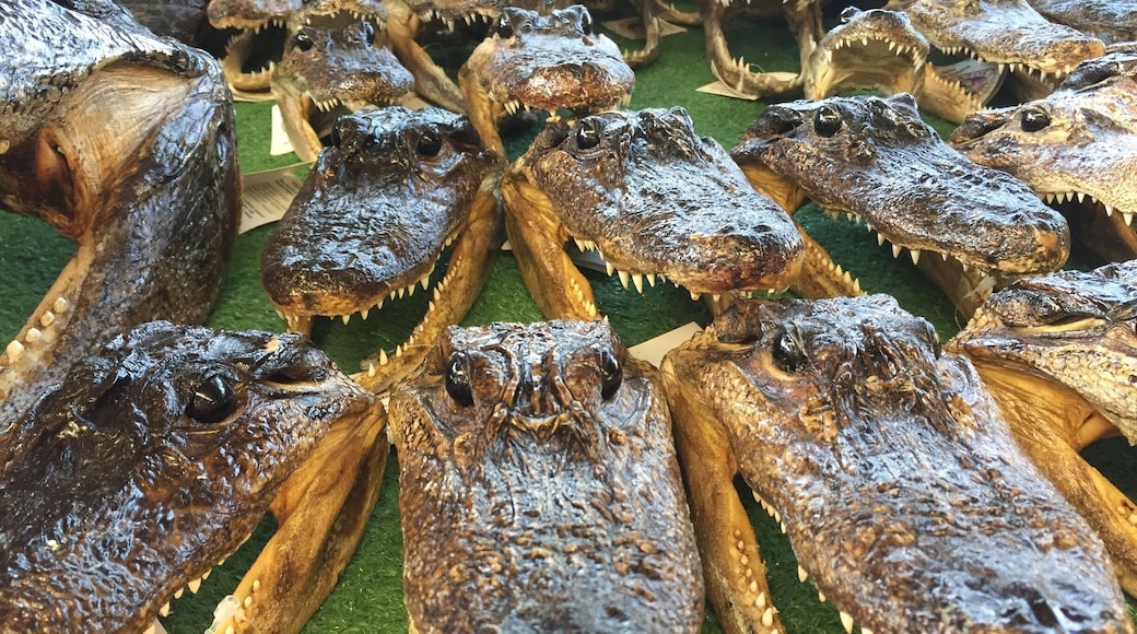 13' gator and baby gators were what the sign advertised. Of course, they were all stuffed.