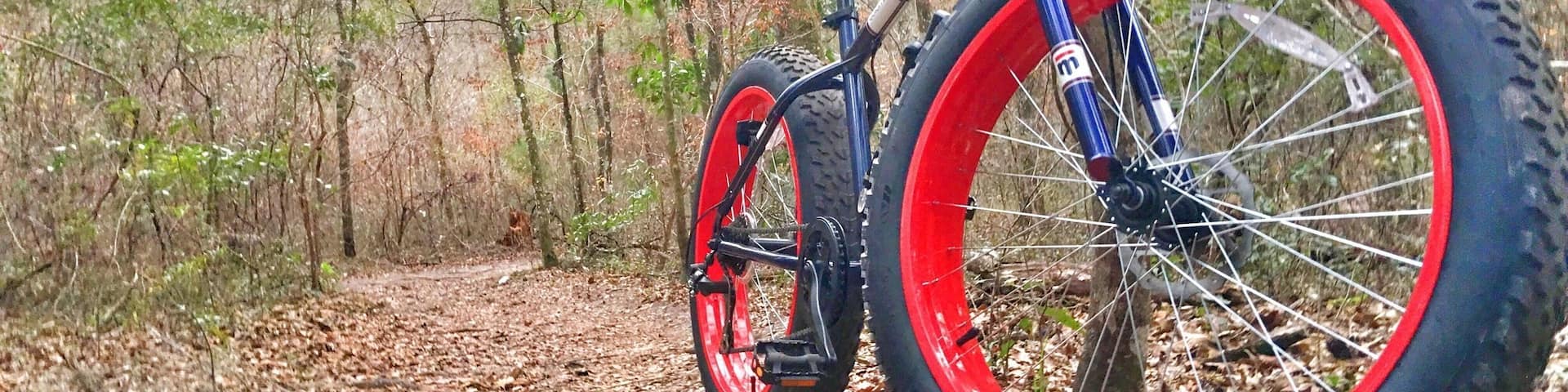 San Felasco has numerous bike trails, from easy to really hard. I didn't get to go on them all but the ones I did were a lot of fun. Mixed terrain, from farmland to grassy trails to switch backs. And they are designed for only bikes, there are also hiking and horse trails in the park.