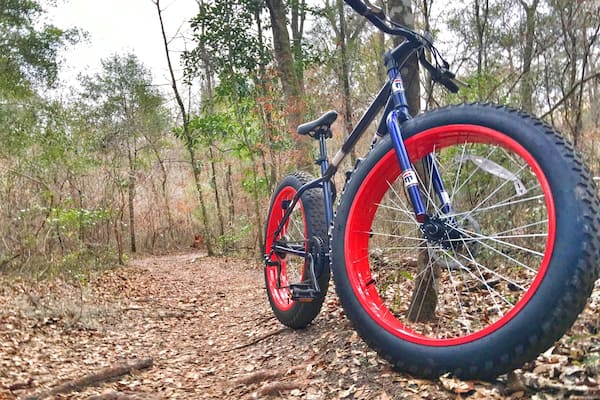 San Felasco has numerous bike trails, from easy to really hard. I didn't get to go on them all but the ones I did were a lot of fun. Mixed terrain, from farmland to grassy trails to switch backs. And they are designed for only bikes, there are also hiking and horse trails in the park.