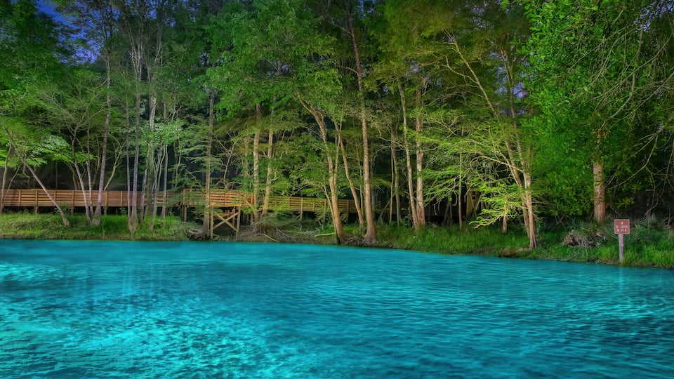 A clear turquoise pool surrounded by lush green trees and a wooden deck.