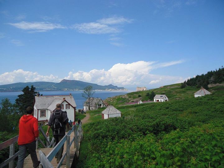 On our way back to the ferry. Bye bye Île Bonaventure!