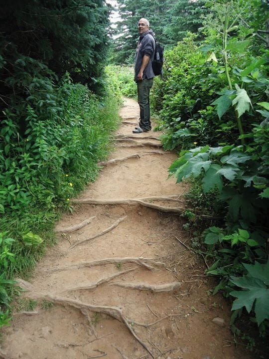 This is on the Île Bonaventure. It is a national park, so there is green everywhere. A must see in Gaspésie.