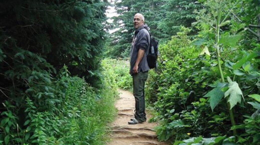 This is on the Île Bonaventure. It is a national park, so there is green everywhere. A must see in Gaspésie.
