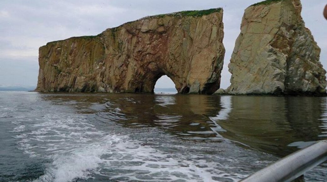 This is the main attraction in Gaspésie: the Rocher percé. It is a very beautiful place. We went close by boat. The most adventurous of us go in the hole when the tide is low, but we are not allowed to do it.