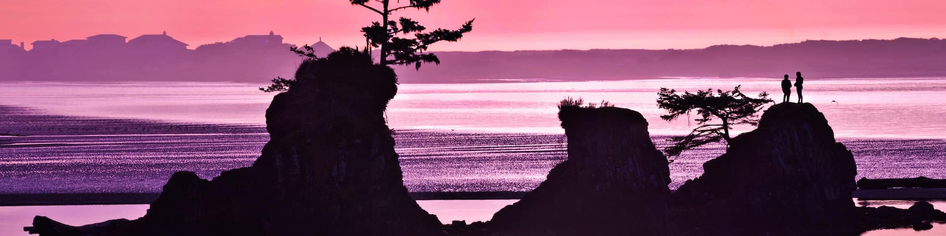 A sunset over a coastal landscape with rock formations and a tree silhouette.