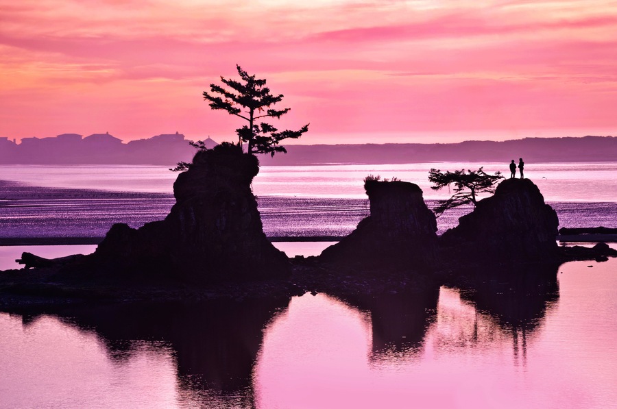 A sunset over a coastal landscape with rock formations and a tree silhouette.