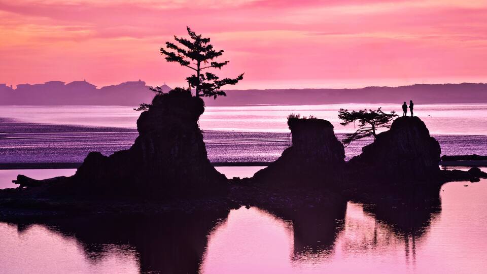 A sunset over a coastal landscape with rock formations and a tree silhouette.