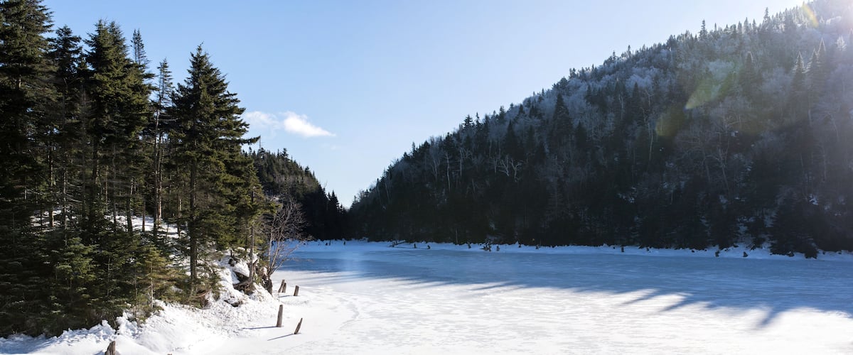 frozen lake under the winter sun in the middle of a forest of pins