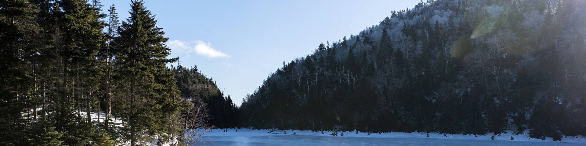 A snow-covered lake with dense coniferous forest on both sides.