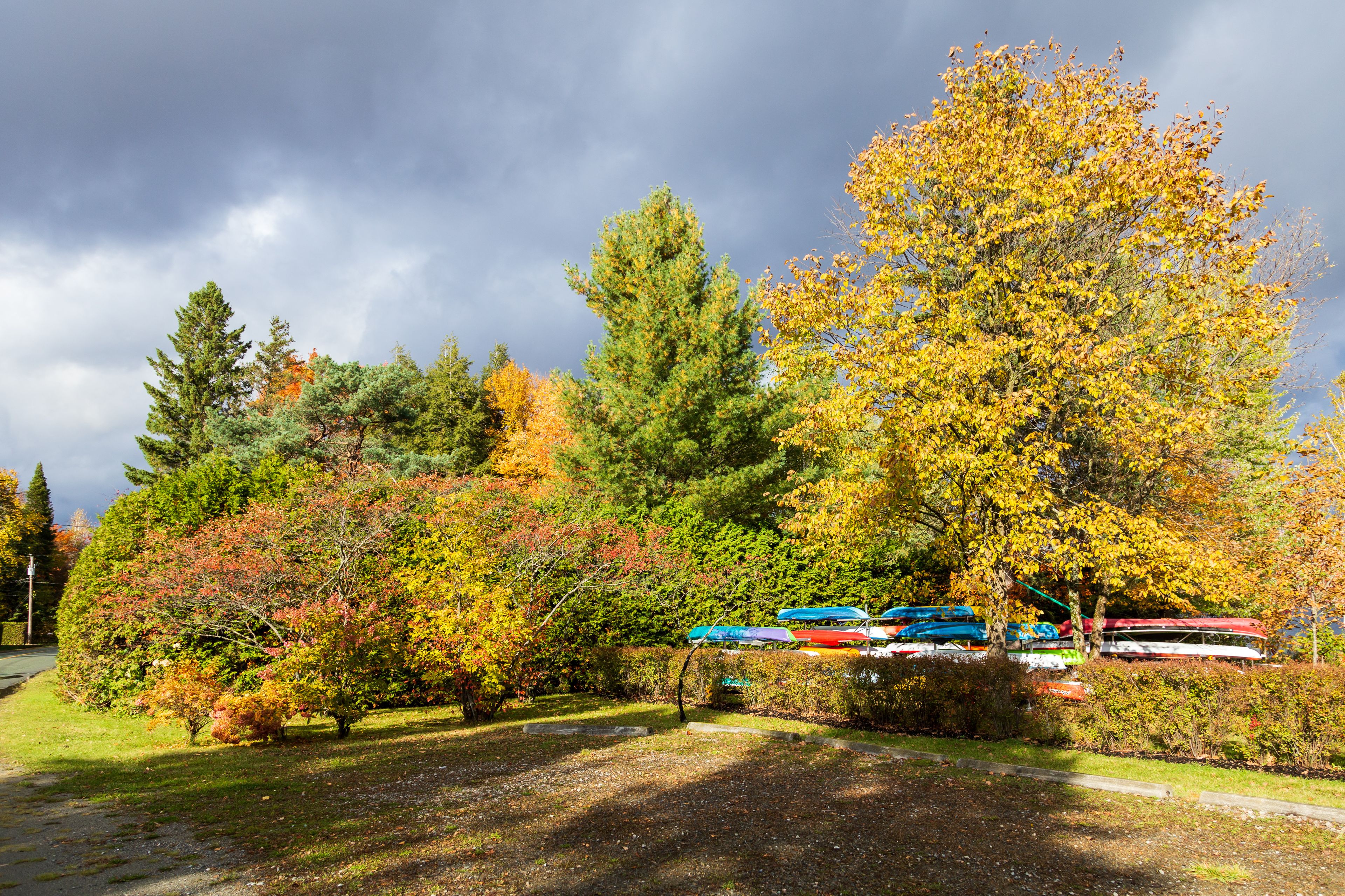Kayaks docked on Lake Lovering shore seen among colourful trees during a fall golden hour afternoon with a dark dramatic sky, Magog, Eastern Townships, Quebec, Canada
