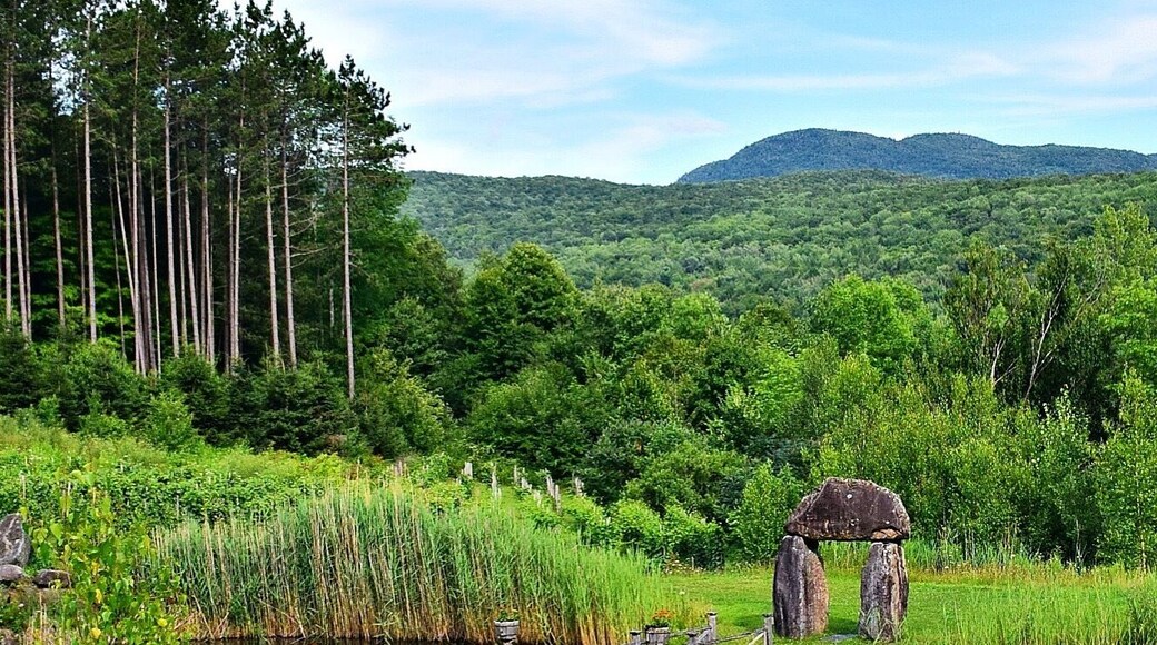 This beautiful vineyard produces ice wine and dessert wines. But, even if you don't drink wine, it's worth it to go for the beautiful grounds.