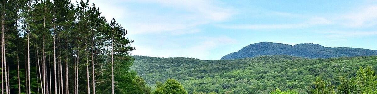 This beautiful vineyard produces ice wine and dessert wines. But, even if you don't drink wine, it's worth it to go for the beautiful grounds.