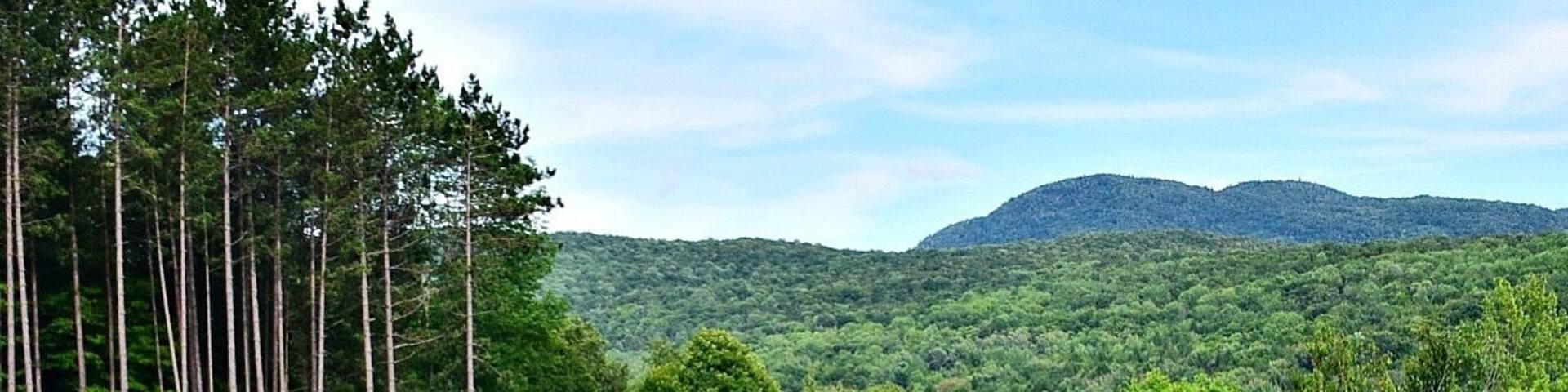 This beautiful vineyard produces ice wine and dessert wines. But, even if you don't drink wine, it's worth it to go for the beautiful grounds.