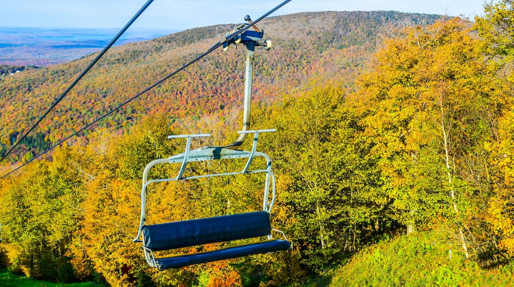 A view from the Mont Sutton chair-lift in Autumn.