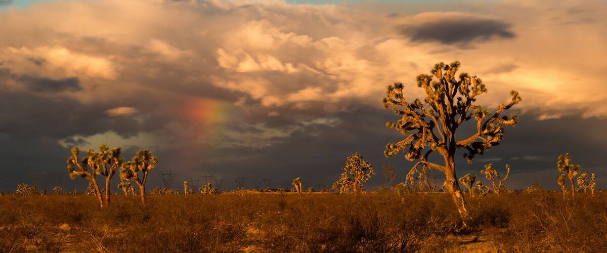 A vibrant sunrise in the high desert.