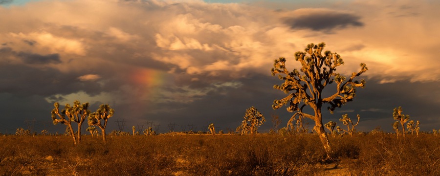 A vibrant sunrise in the high desert.