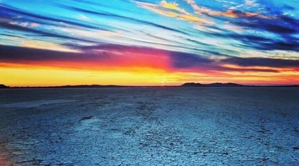 He never disappoints #Culture