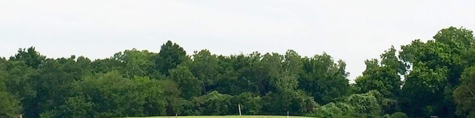 The Bear Creek golf course in Dallas is right under the flight path of the #DFW airport. It may sound annoying, but it's actually quite impressive! It feels like the planes are about to land on the Par 5!
#patterns #dallas