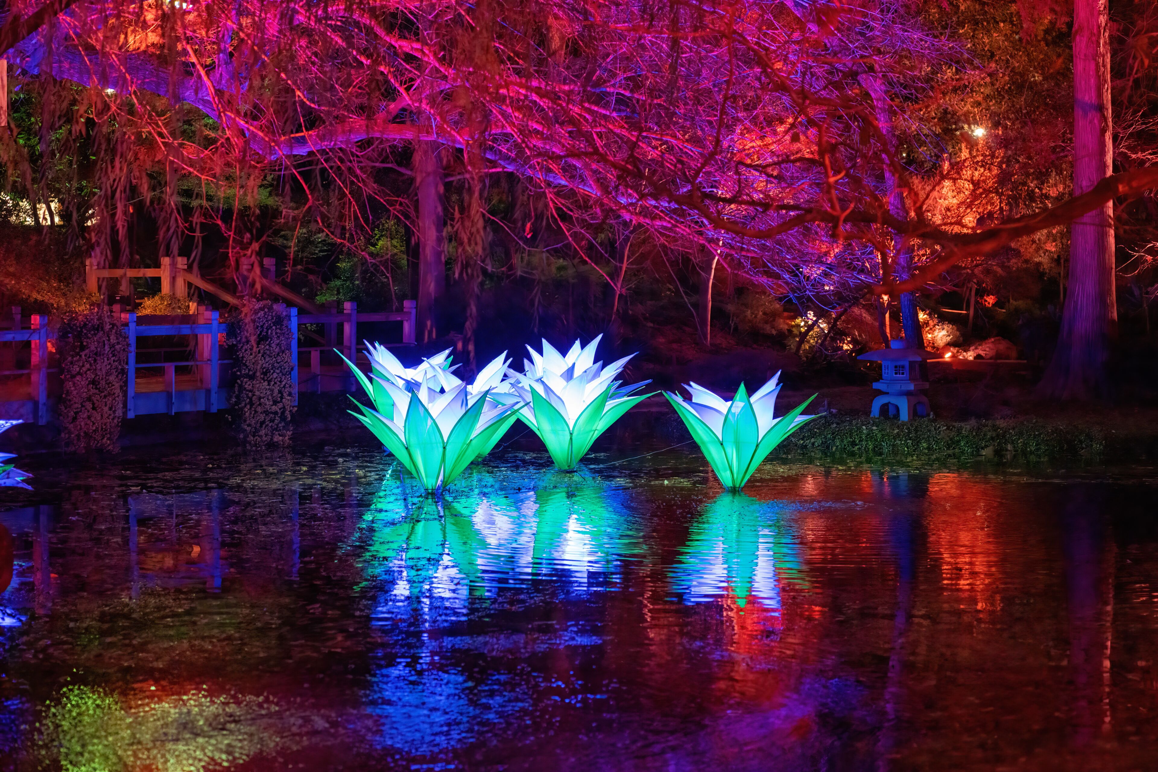 Cena noturna com estruturas em forma de lótus iluminadas refletindo na água, cercadas por árvores e uma cerca de madeira.