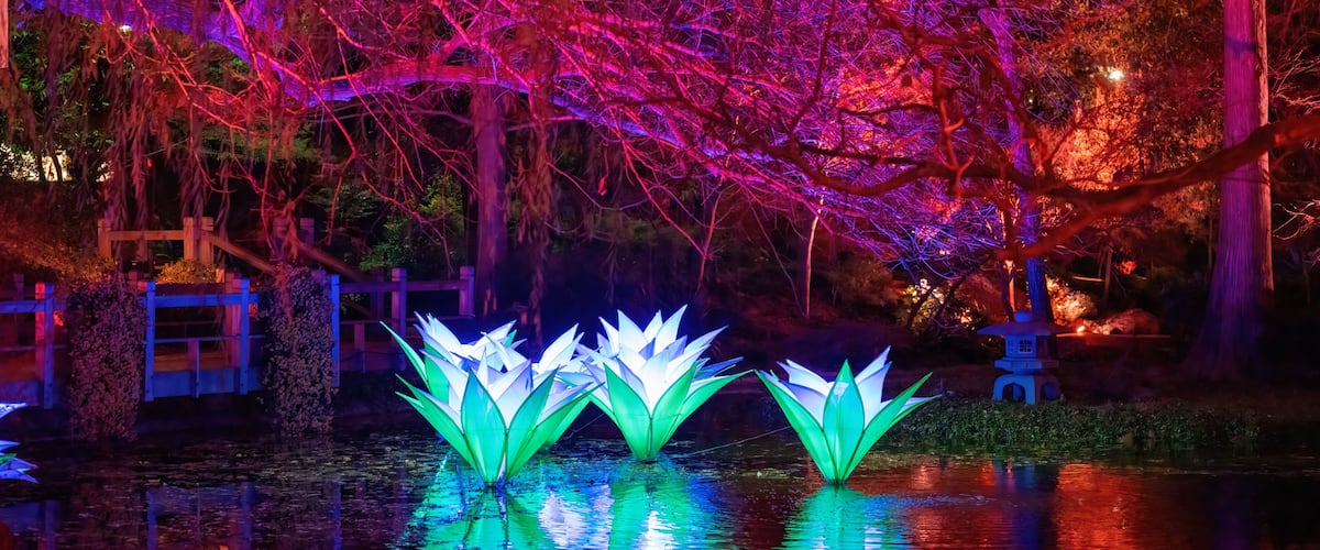 Escena nocturna con estructuras iluminadas en forma de loto reflejándose en el agua, rodeadas de árboles y una valla de madera.