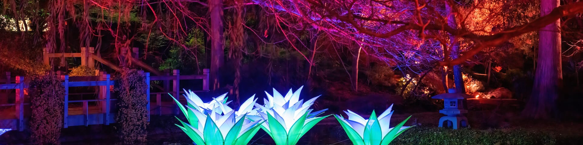 A nighttime scene with illuminated lotus-shaped structures reflecting on water, surrounded by trees and a wooden fence.