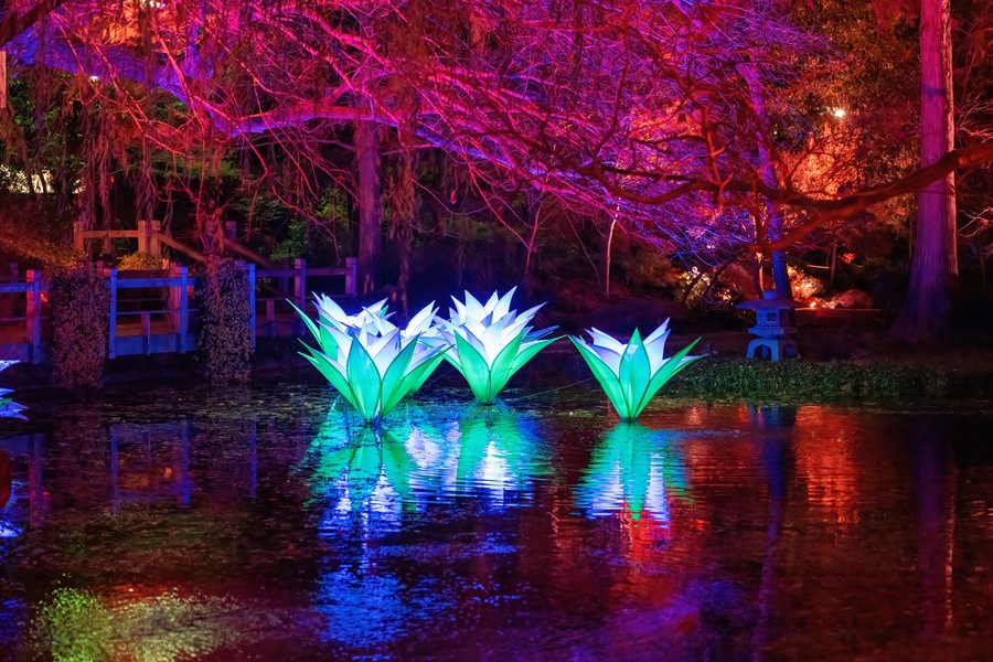 A nighttime scene with illuminated lotus-shaped structures reflecting on water, surrounded by trees and a wooden fence.