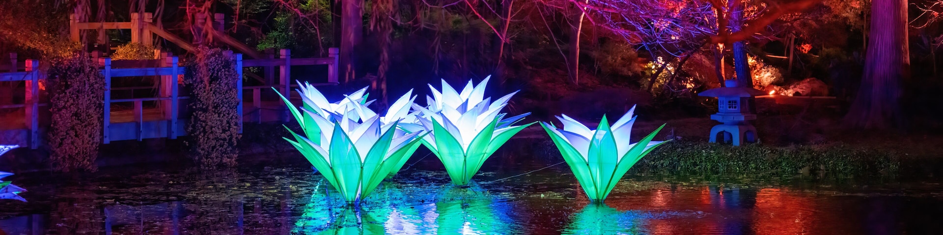 Cena noturna com estruturas em forma de lótus iluminadas refletindo na água, cercadas por árvores e uma cerca de madeira.